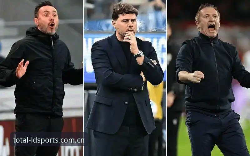LDSports综合体育下载使用技巧 贝纳蒂亚vs加图索:马赛总监的“斗殴”难题与领导力博弈,LDSports体育平台独家解读